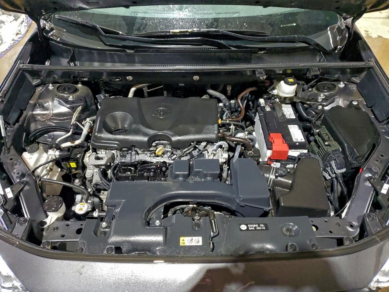 2024 TOYOTA RAV4 XLE photo 12