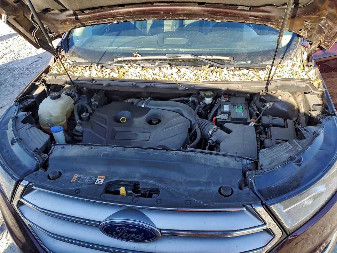 2018 FORD EDGE SEL photo 11