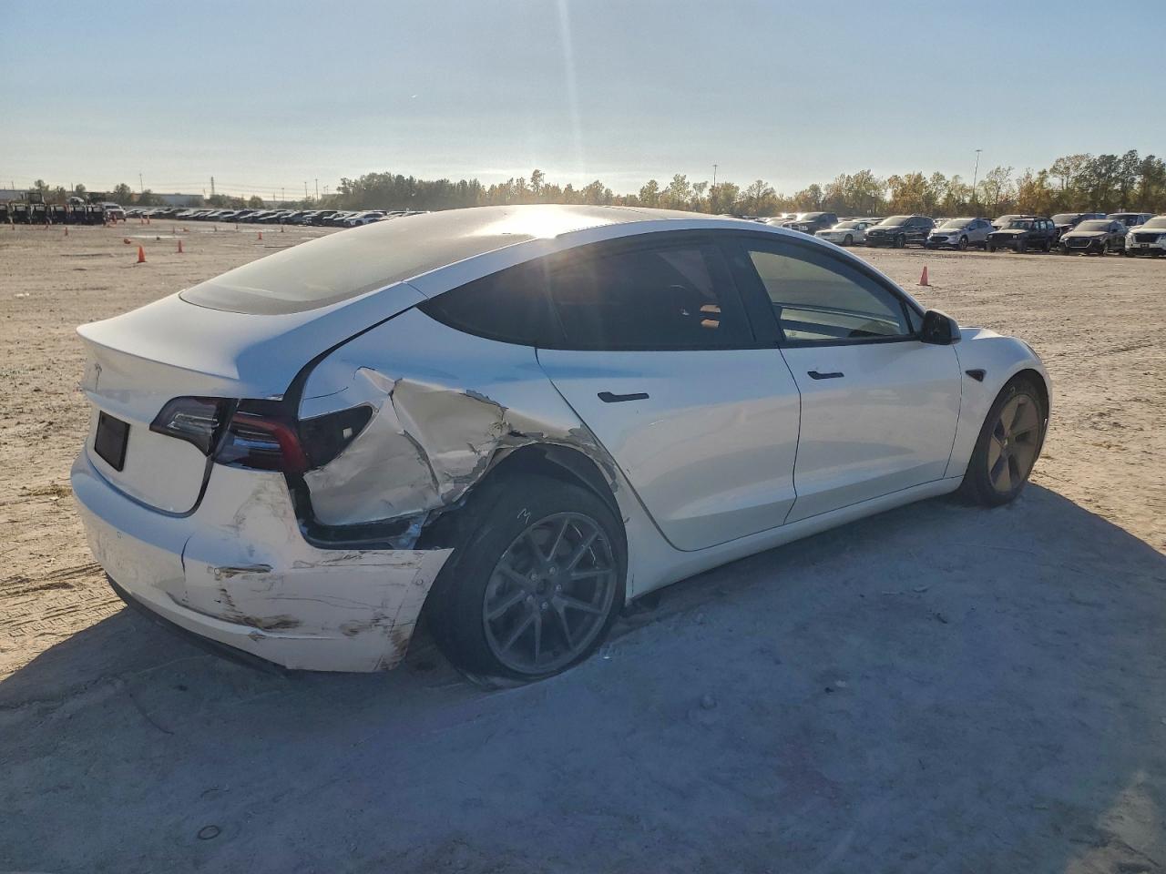 2021 TESLA MODEL 3 photo 3