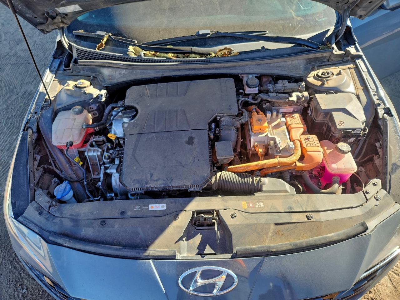 2022 HYUNDAI ELANTRA LIMITED photo 11