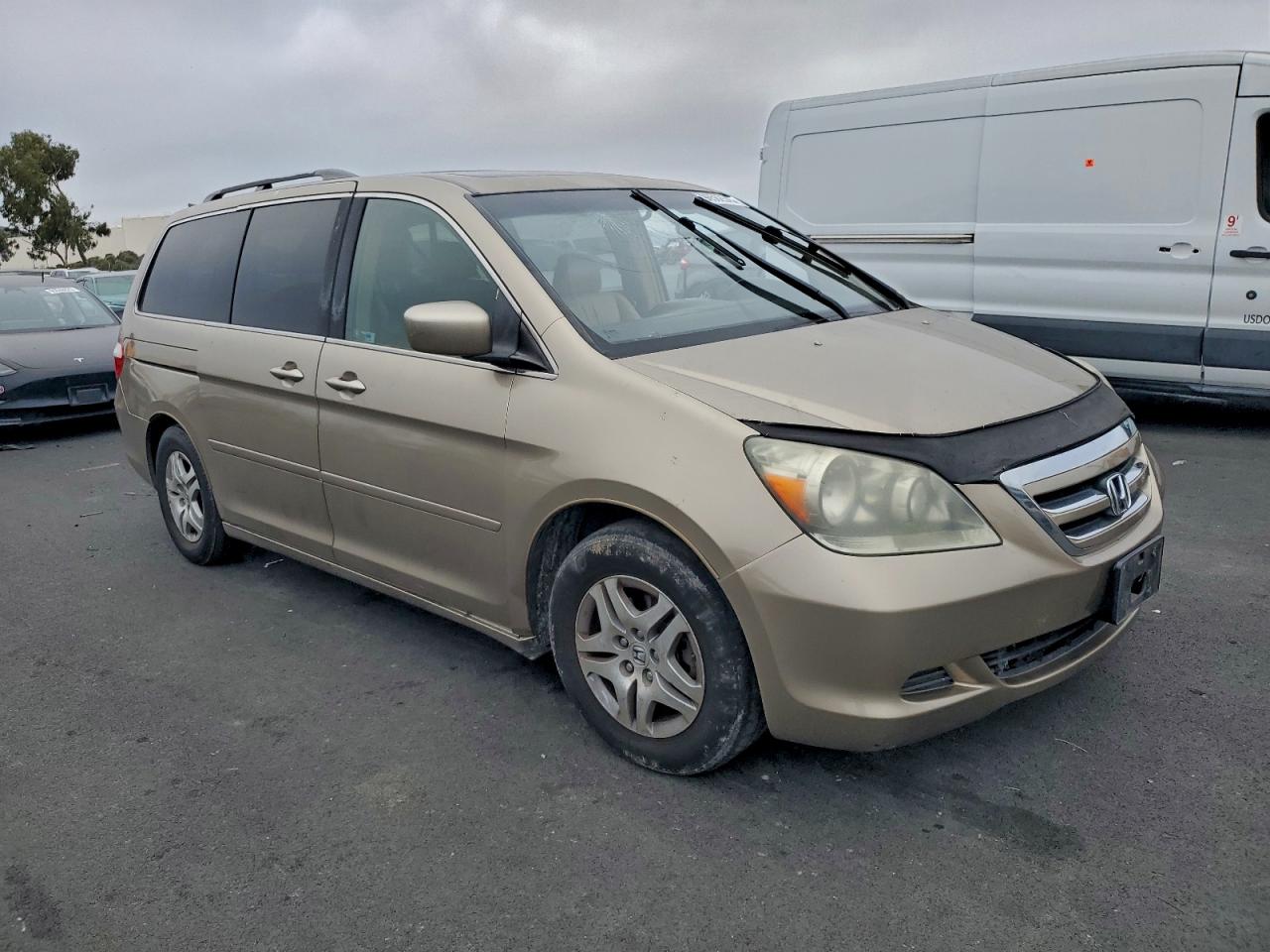 2005 HONDA ODYSSEY EXL photo 4