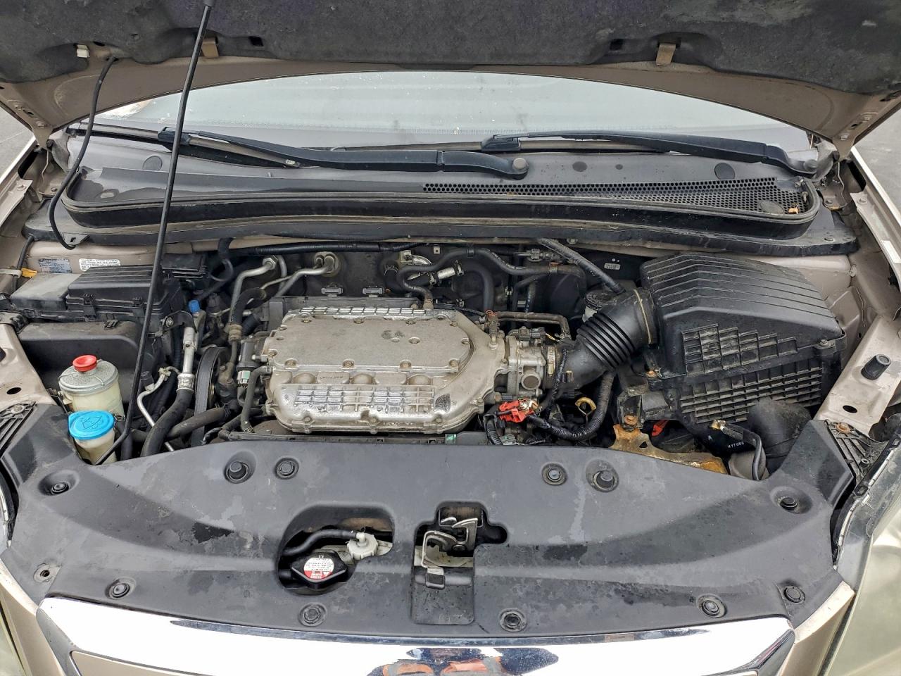 2005 HONDA ODYSSEY EXL photo 12