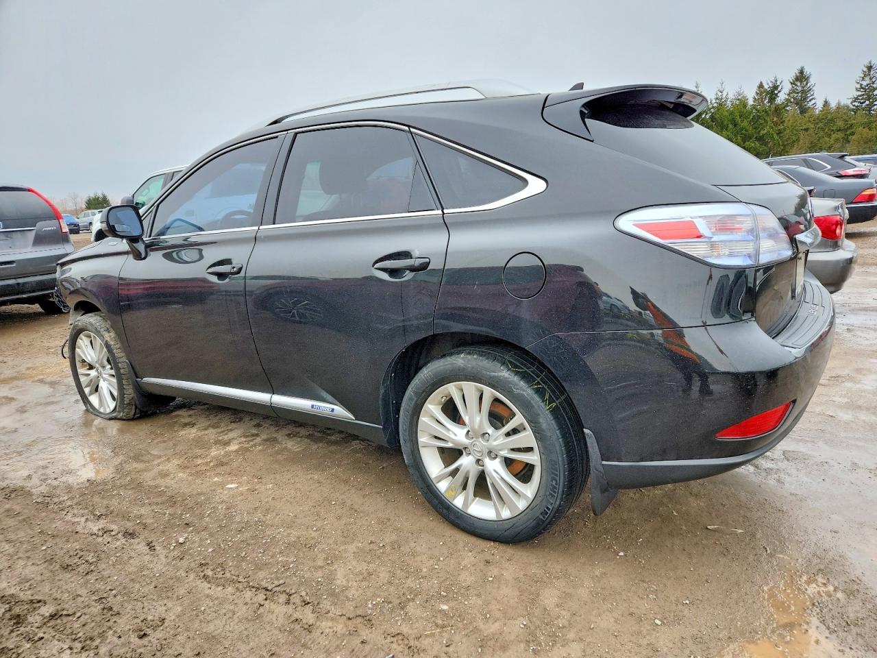 2012 LEXUS RX 450H photo 2