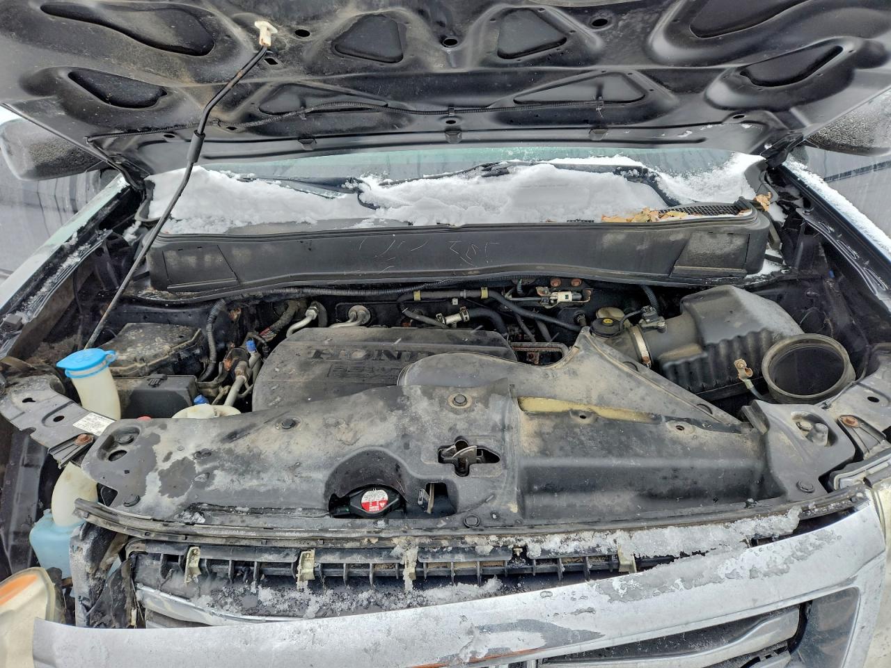2015 HONDA PILOT SE photo 12