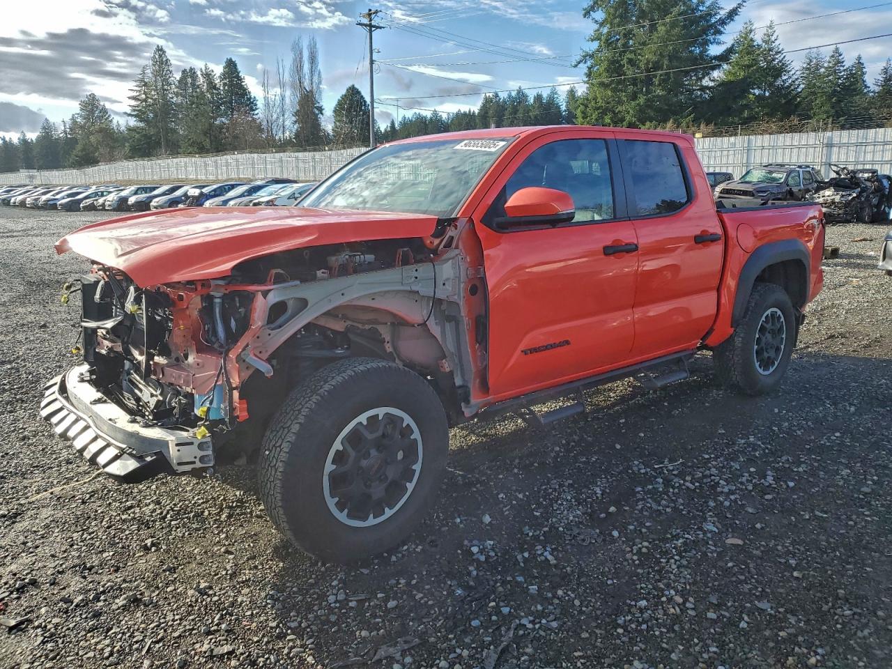 2024 TOYOTA TACOMA