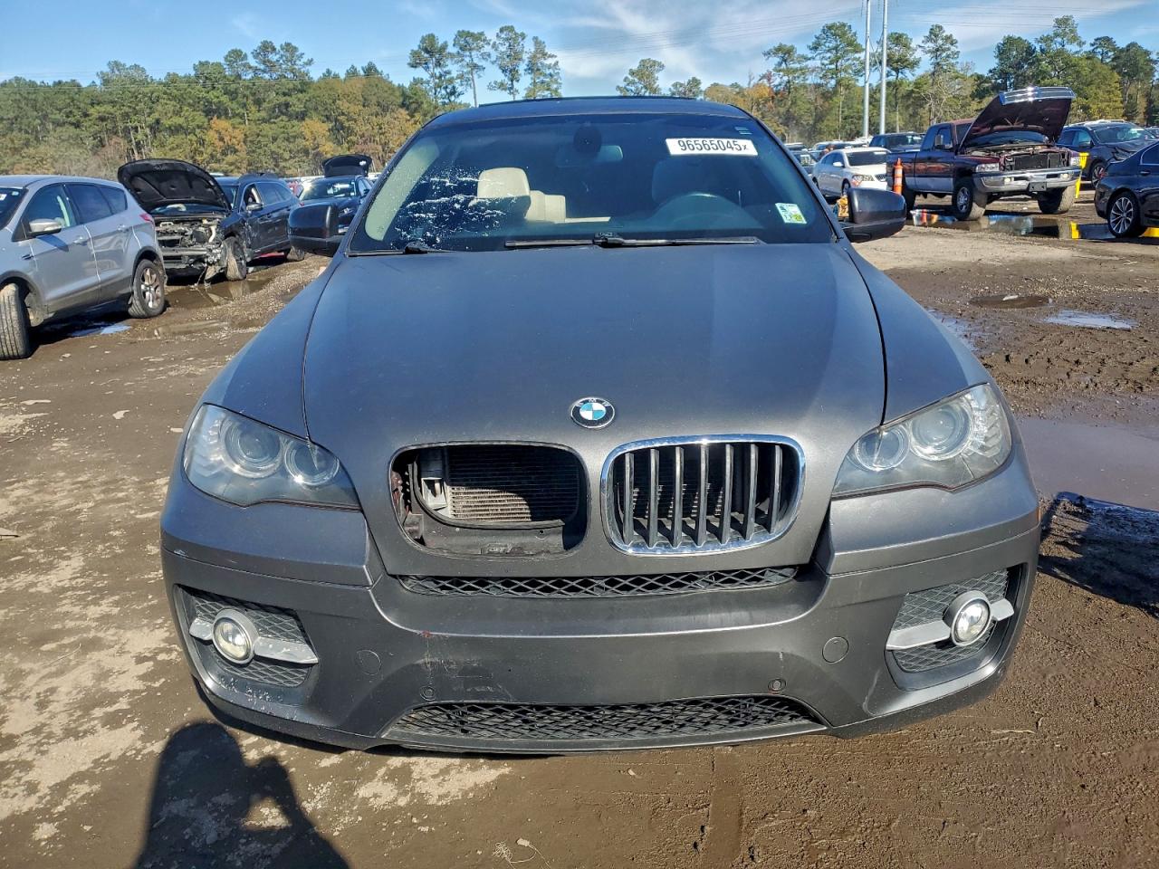 2011 BMW X6 XDRIVE35I photo 5