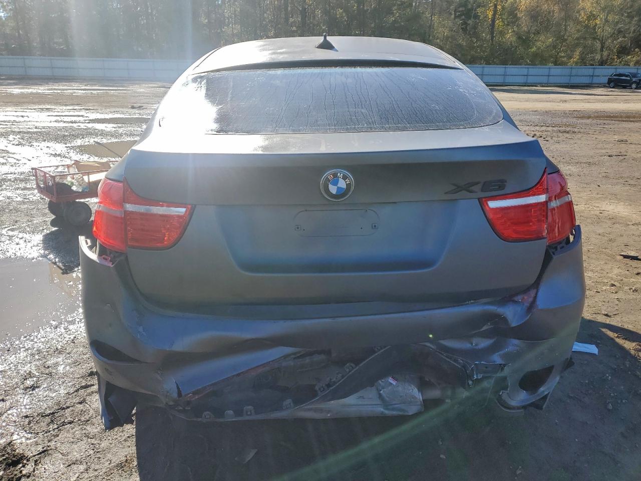 2011 BMW X6 XDRIVE35I photo 6