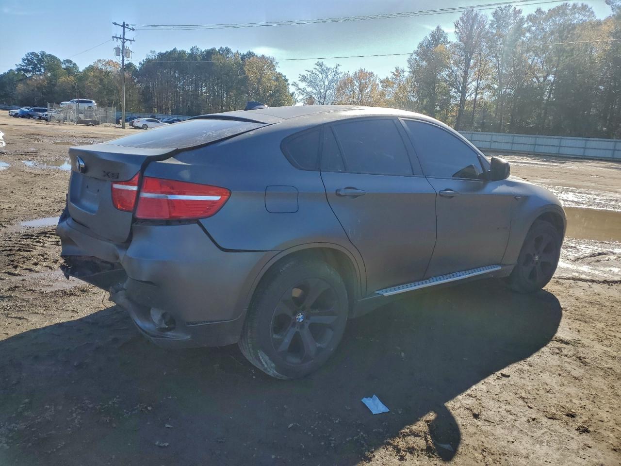2011 BMW X6 XDRIVE35I photo 3