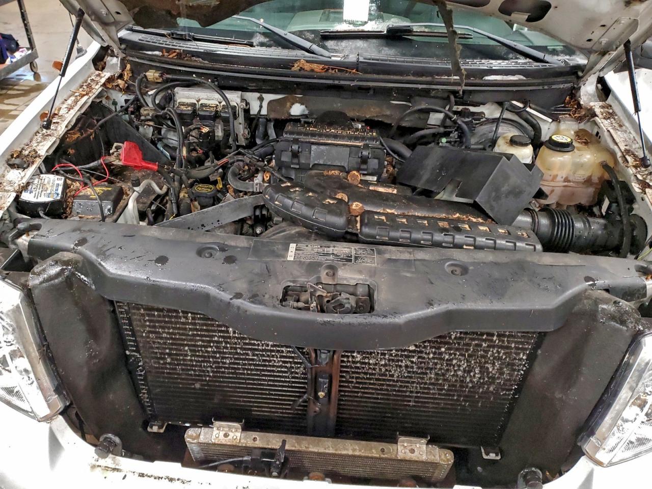 2005 FORD F150 SUPERCREW photo 11
