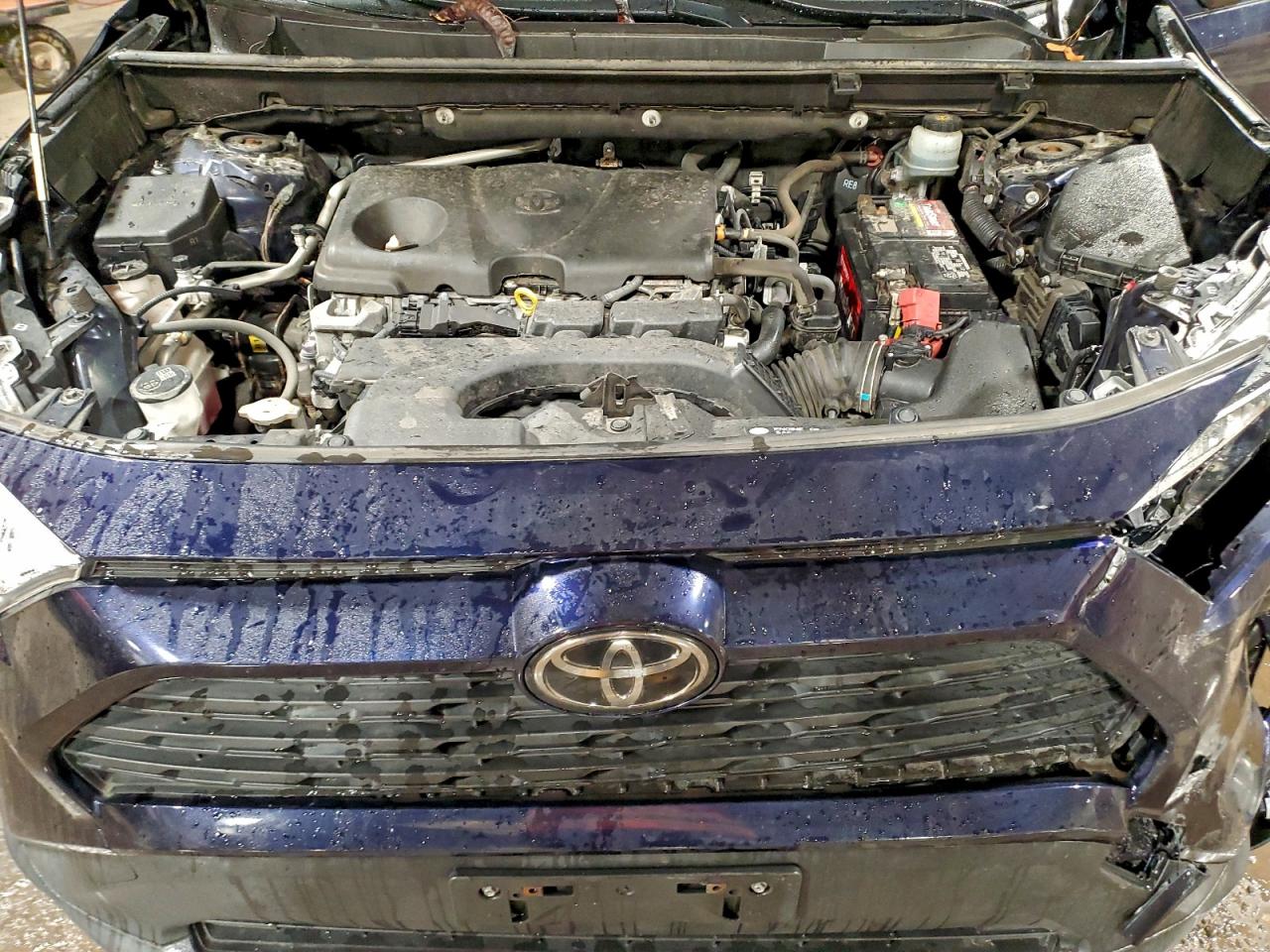 2019 TOYOTA RAV4 XLE photo 12