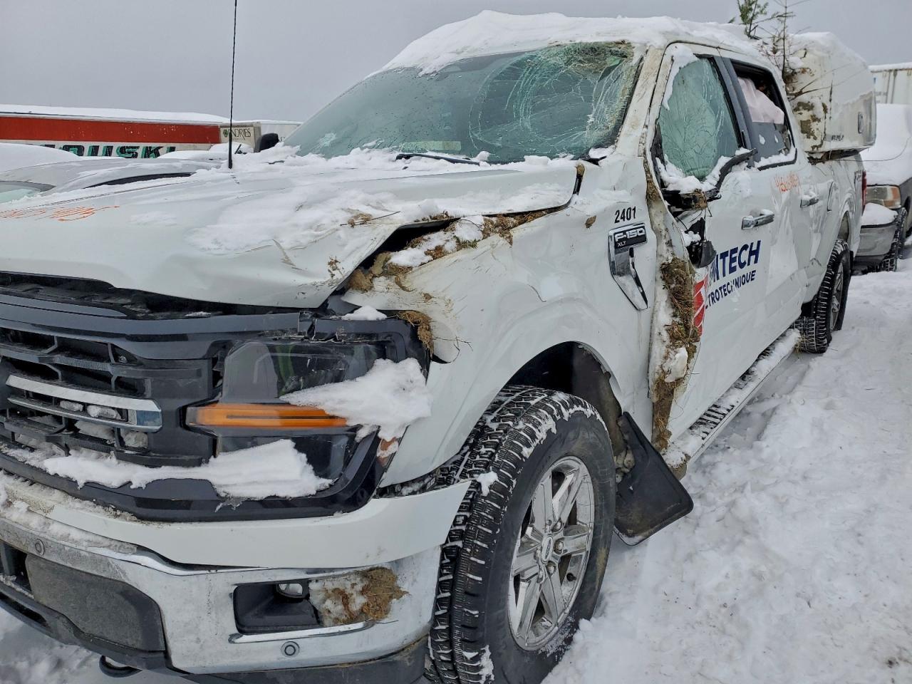 2024 FORD F150 XLT photo 12