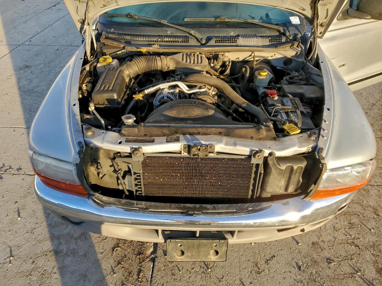 1999 DODGE DAKOTA photo 11
