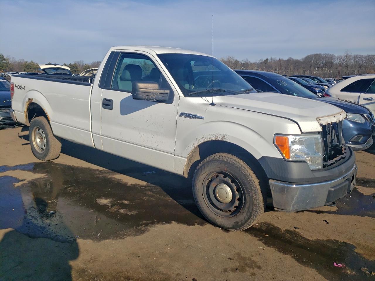 2013 FORD F150 photo 4