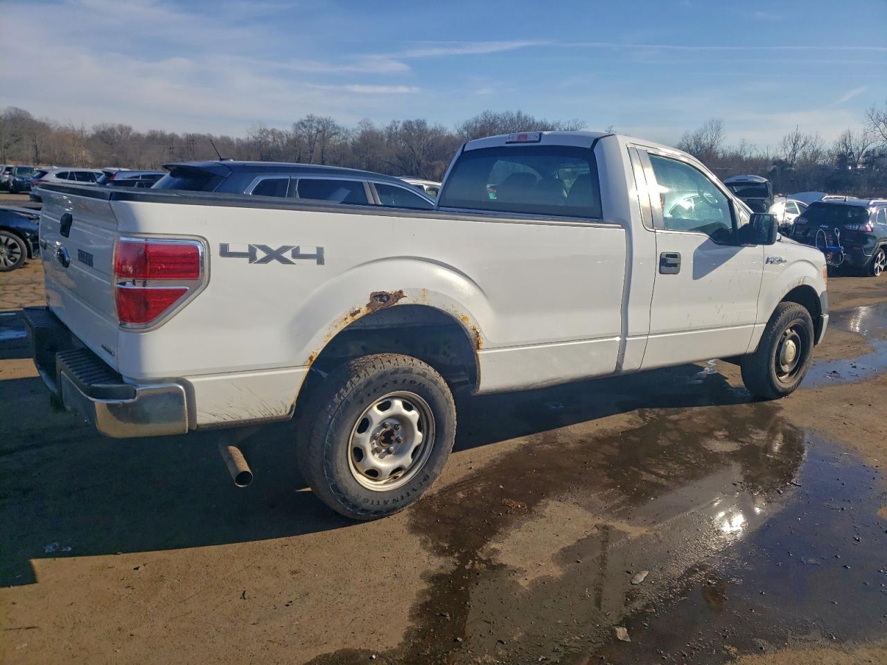2013 FORD F150 photo 3