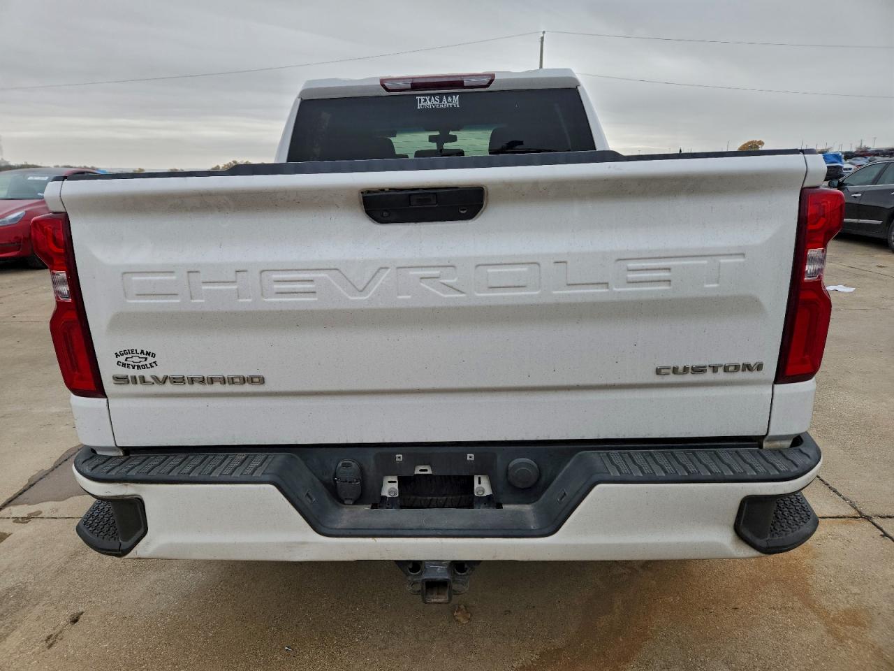 2019 CHEVROLET SILVERADO C1500 CUSTOM photo 6