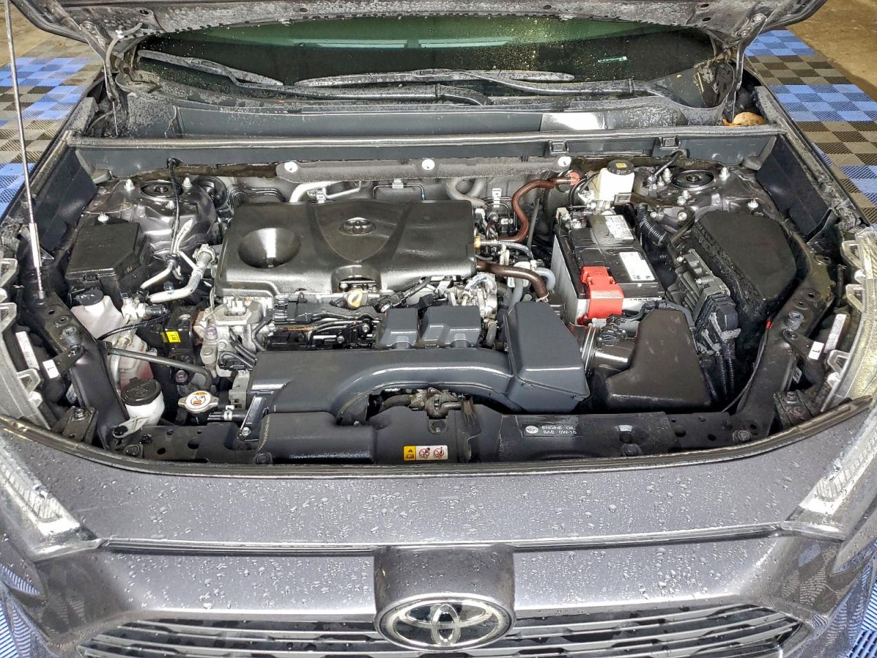 2024 TOYOTA RAV4 XLE photo 12
