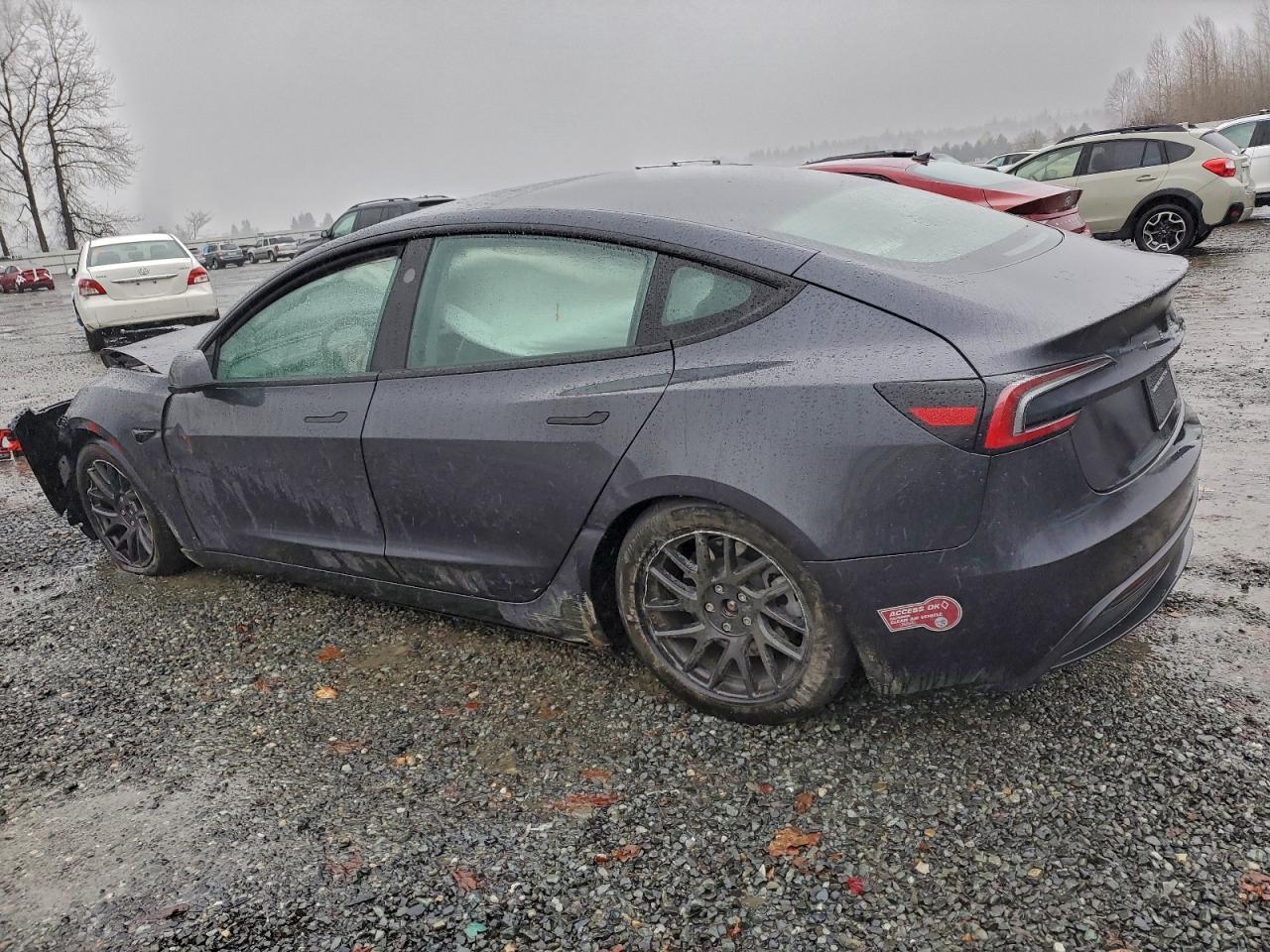 2024 TESLA MODEL 3 photo 2