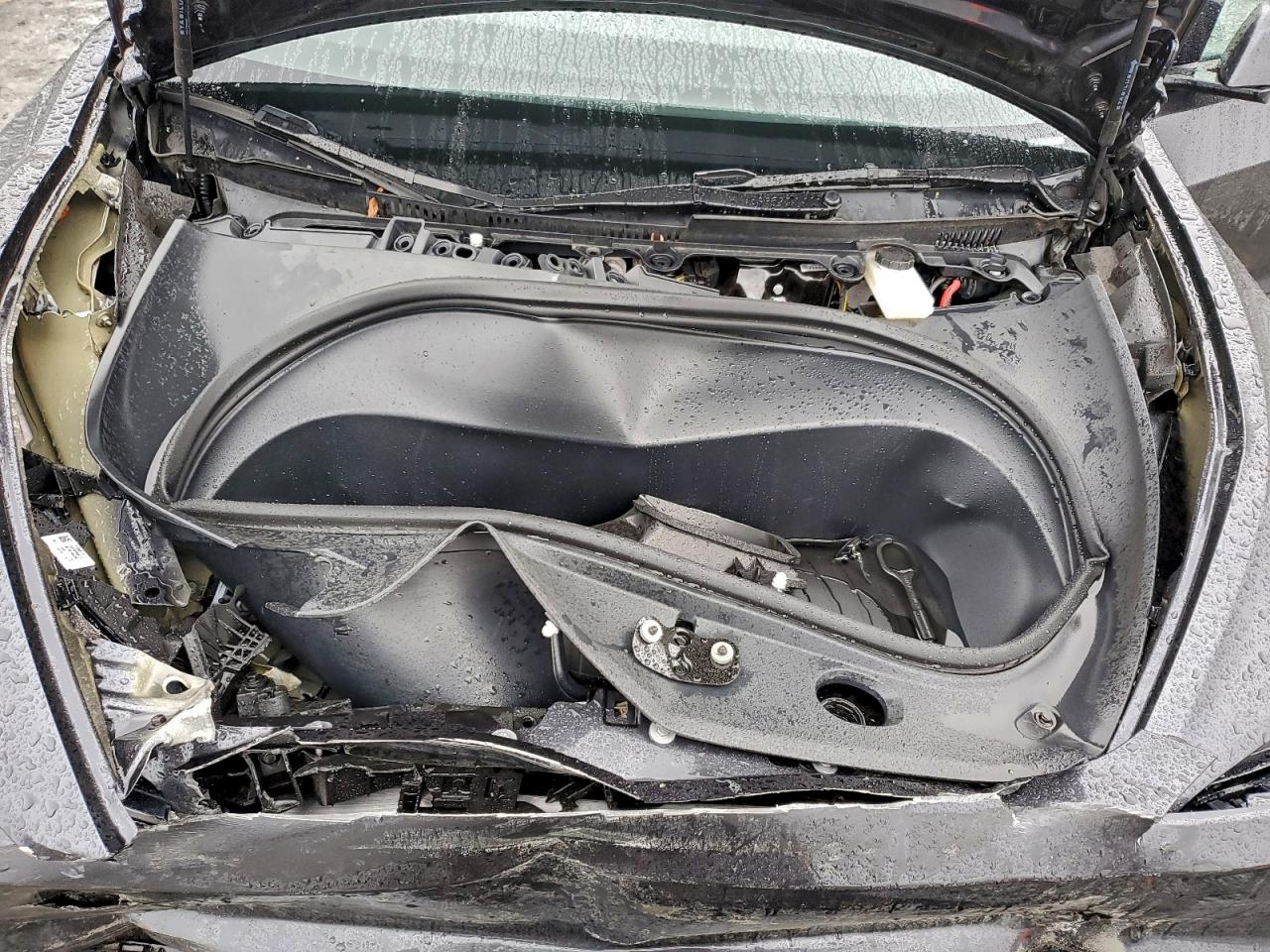 2024 TESLA MODEL 3 photo 11