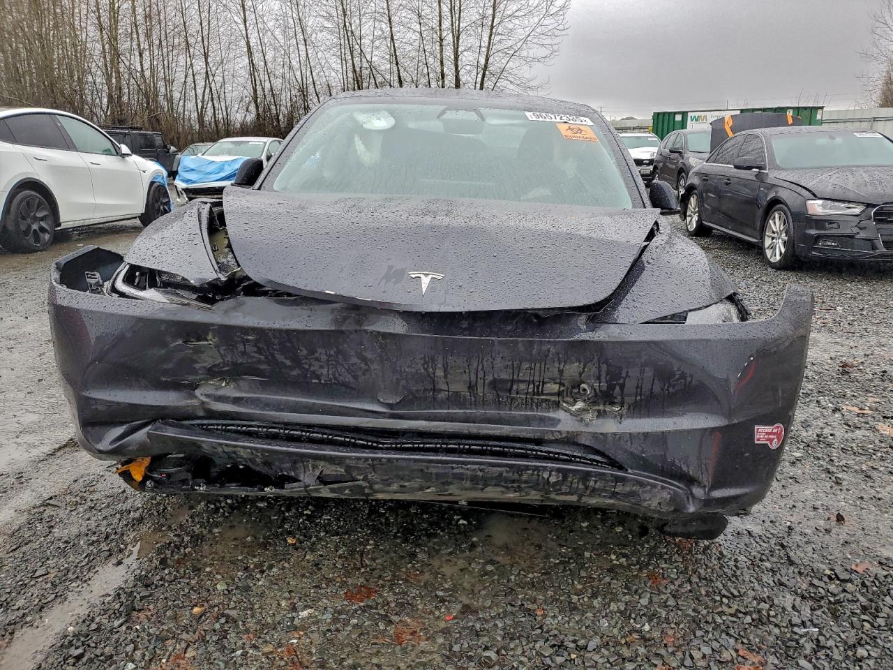 2024 TESLA MODEL 3 photo 5