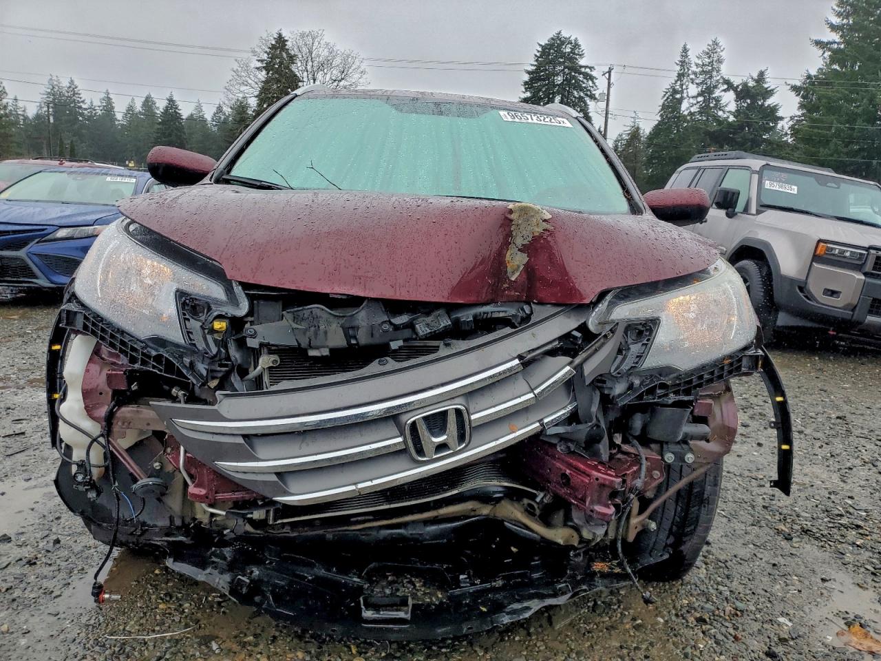 2014 HONDA CR-V EXL photo 5