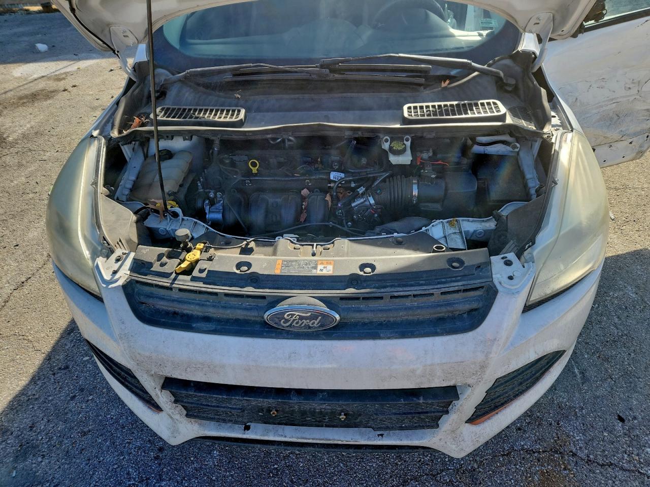 2014 FORD ESCAPE S photo 12