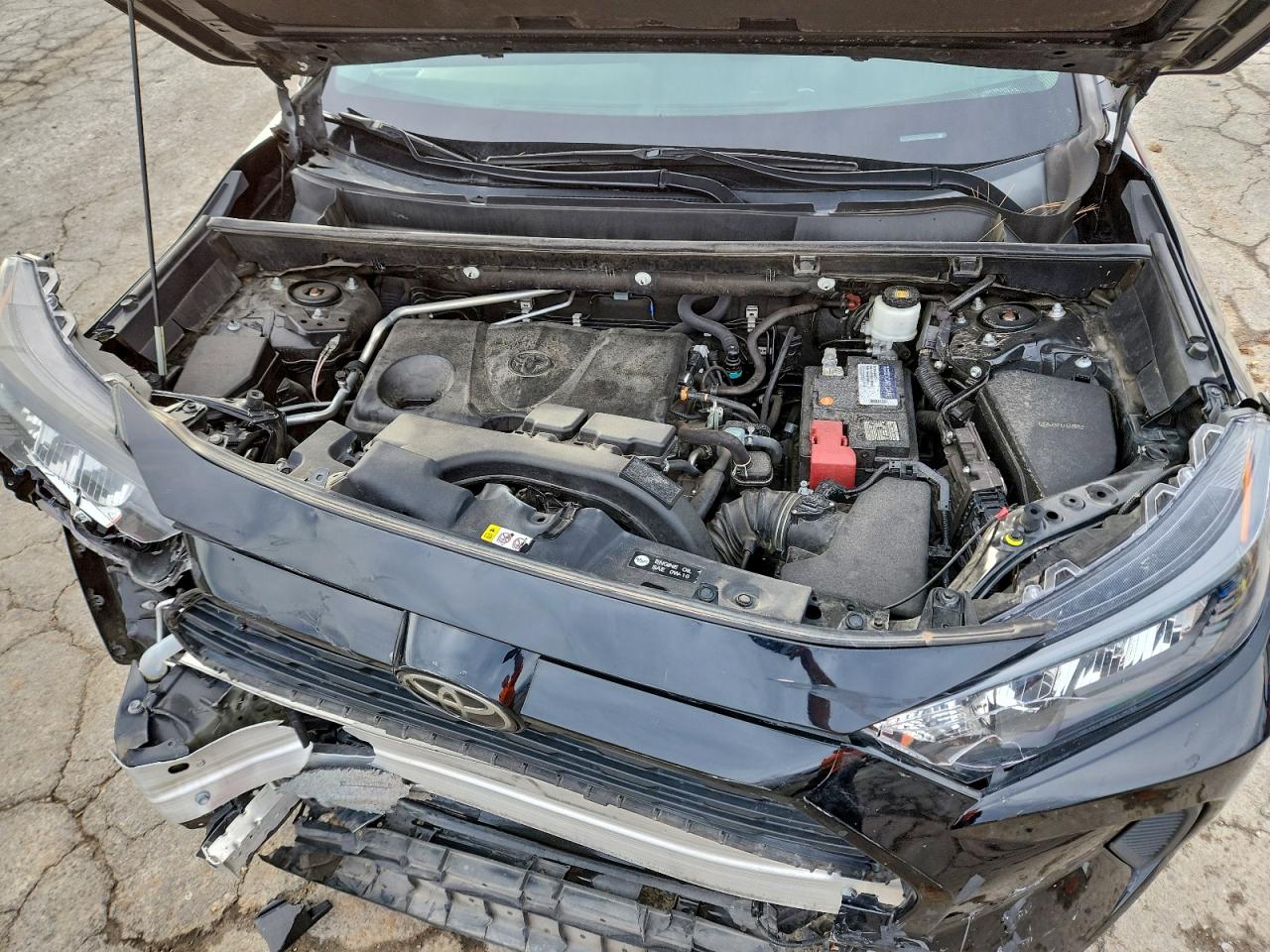 2021 TOYOTA RAV4 LE photo 12