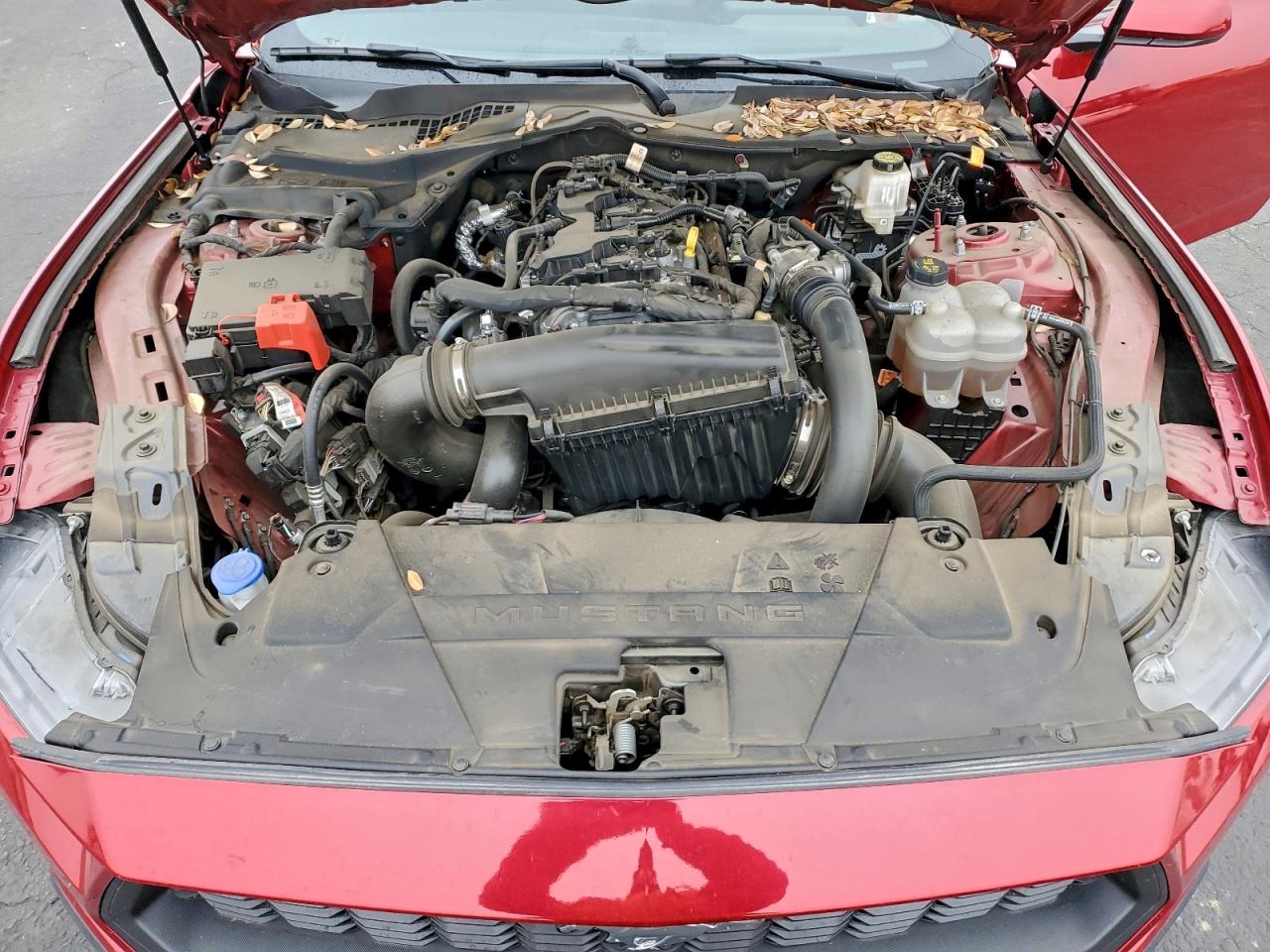 2024 FORD MUSTANG photo 11