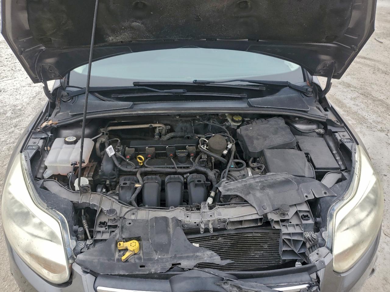 2014 FORD FOCUS SE photo 11