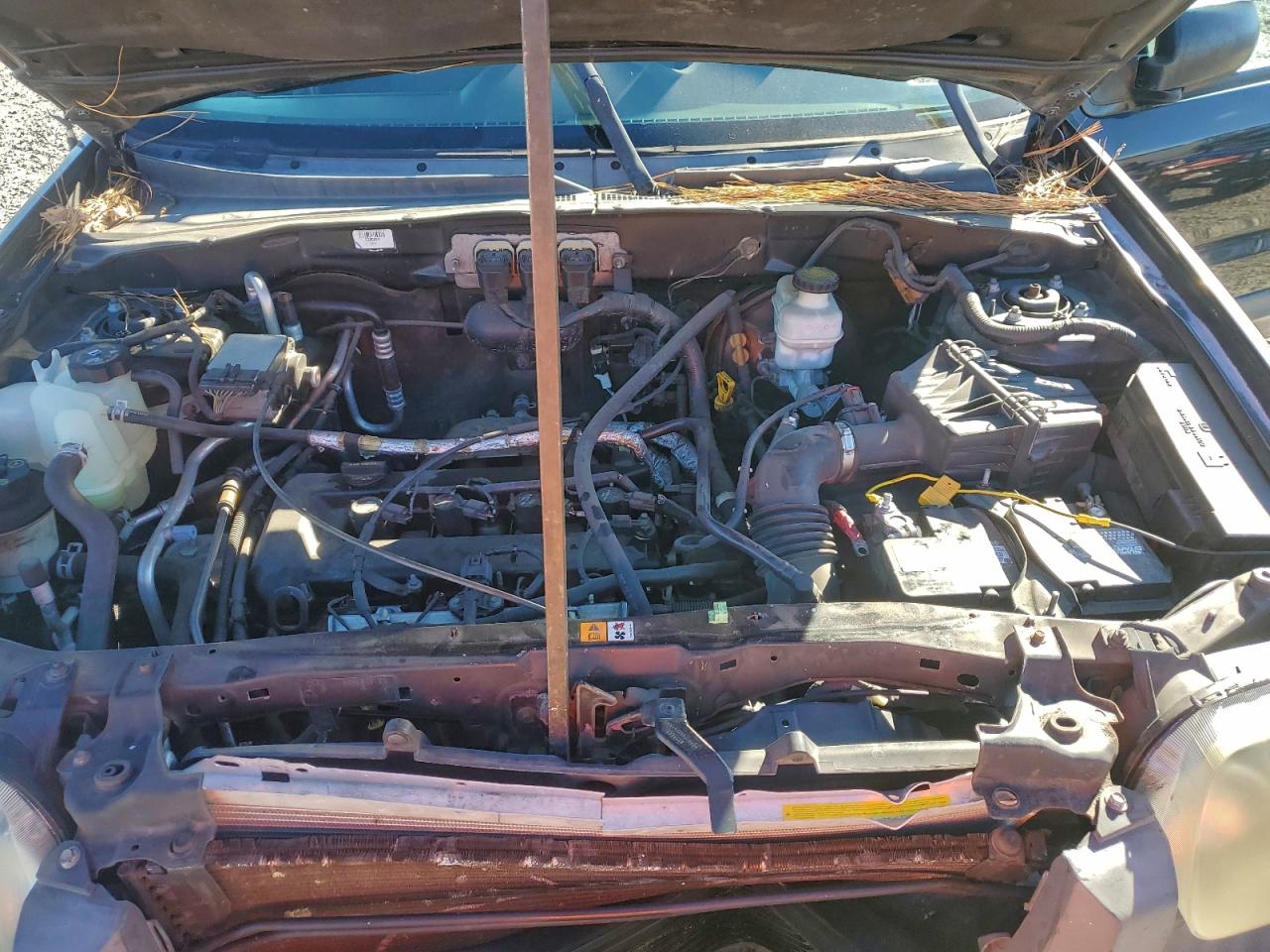 2005 FORD ESCAPE XLS photo 12