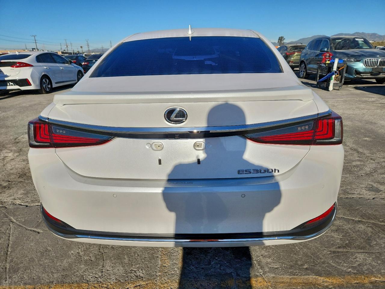 2025 LEXUS ES 300H BASE photo 6