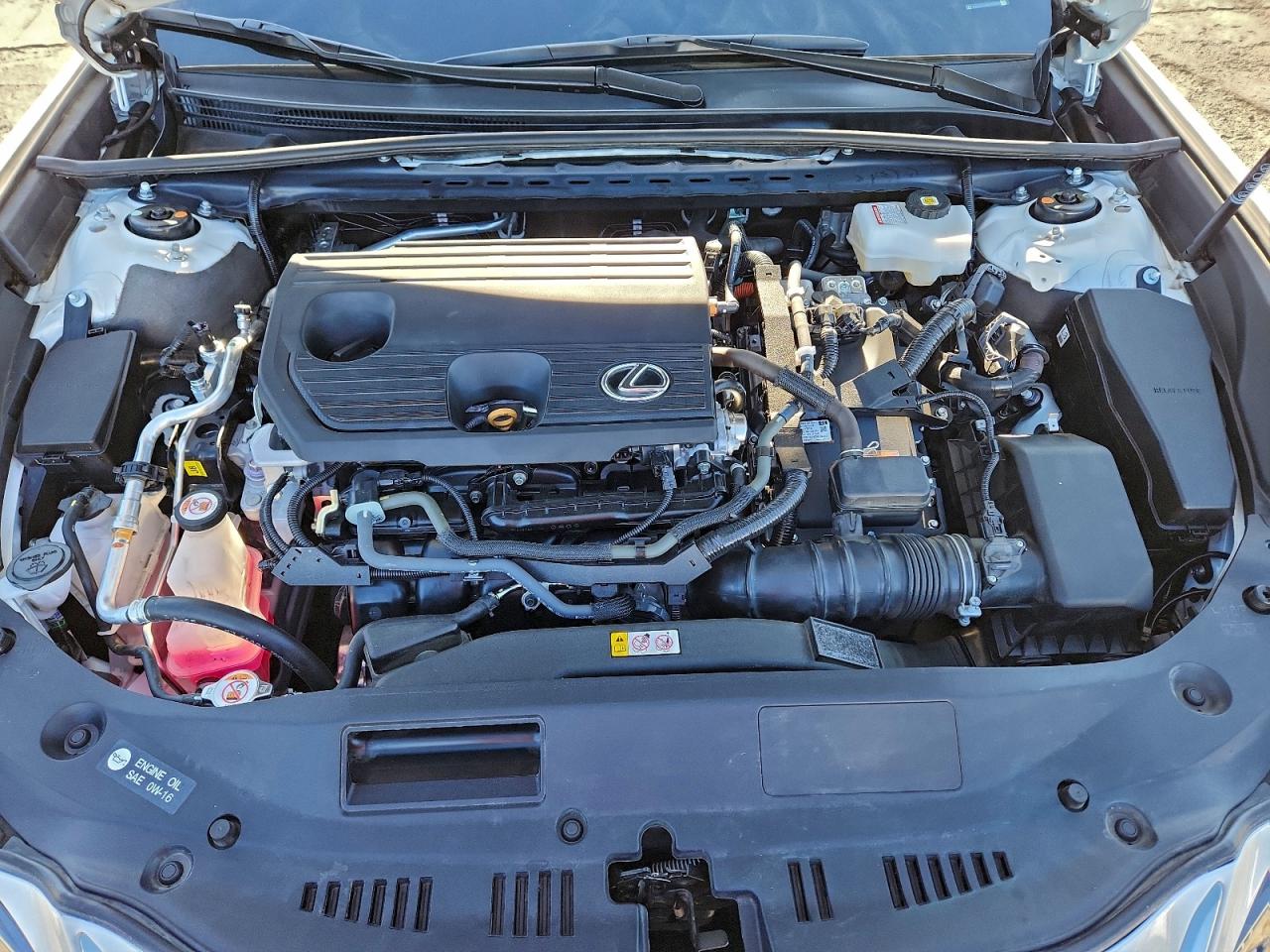 2025 LEXUS ES 300H BASE photo 11