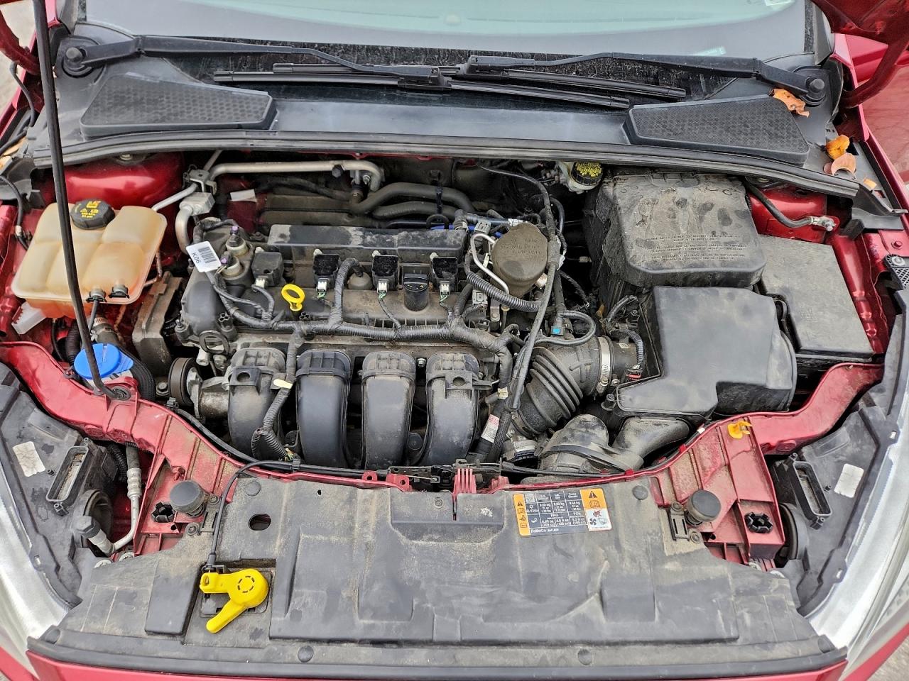 2015 FORD FOCUS SE photo 11