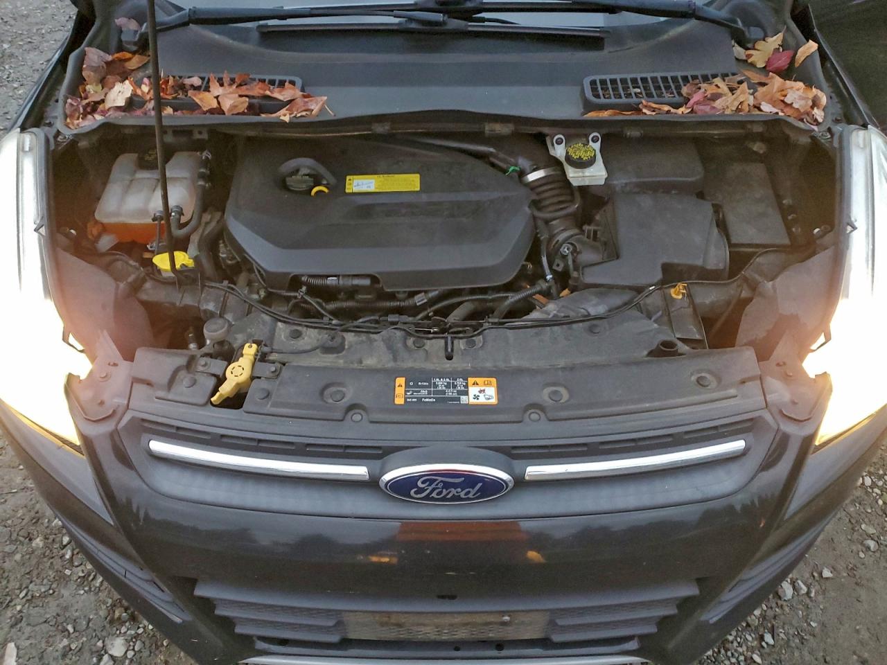 2014 FORD ESCAPE SE photo 12