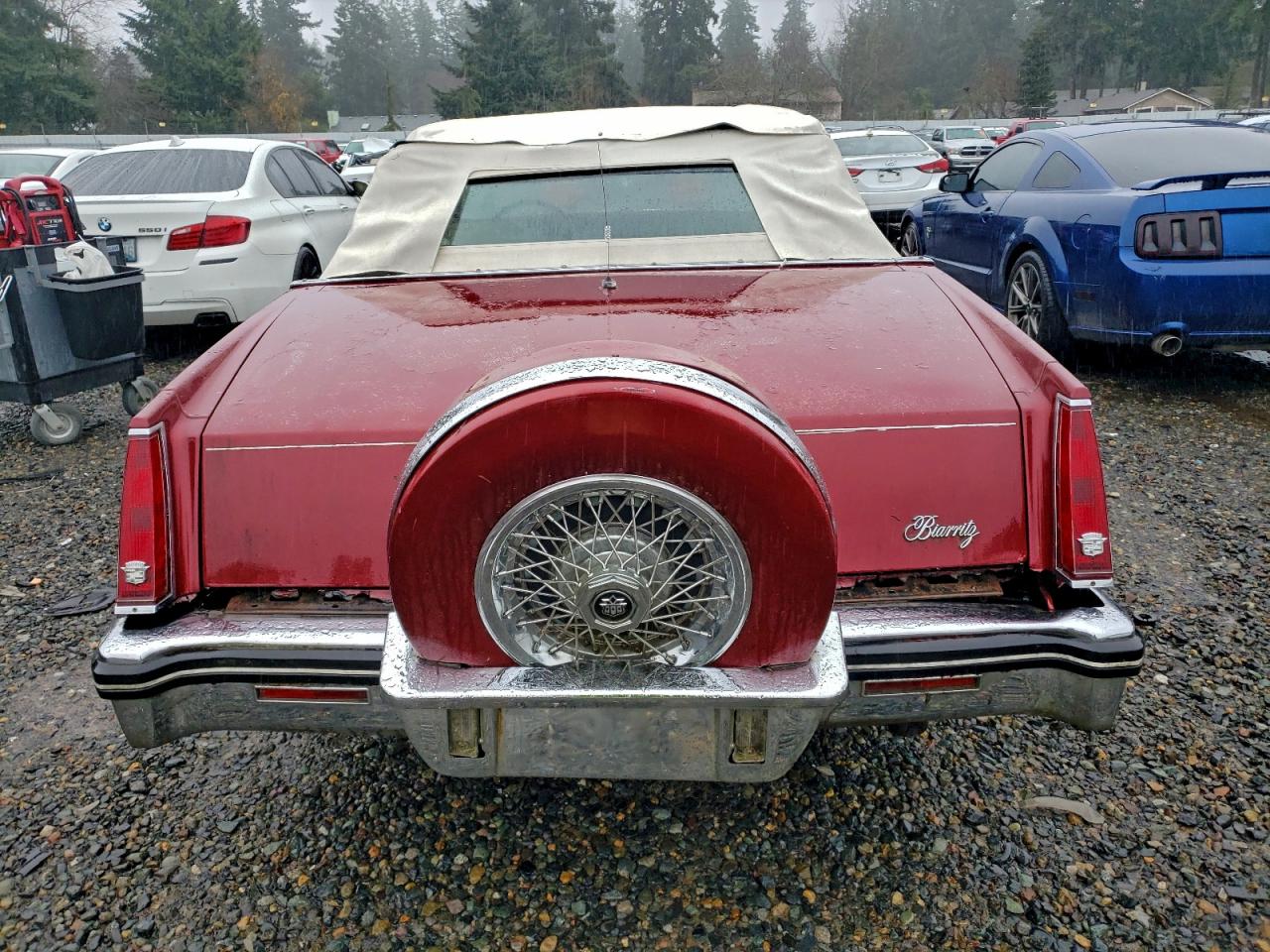 1984 CADILLAC ELDORADO BIARRITZ photo 6