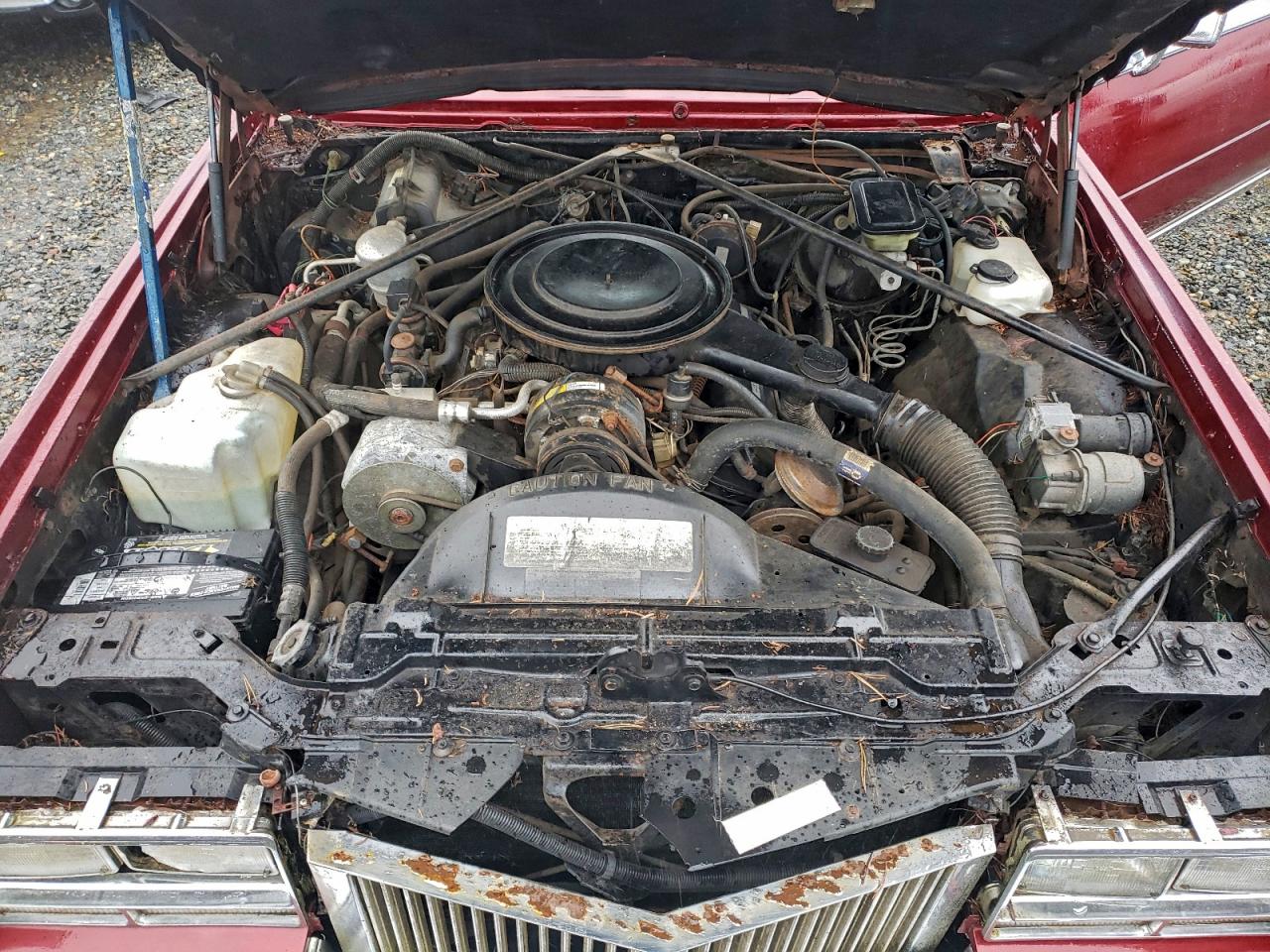 1984 CADILLAC ELDORADO BIARRITZ photo 11