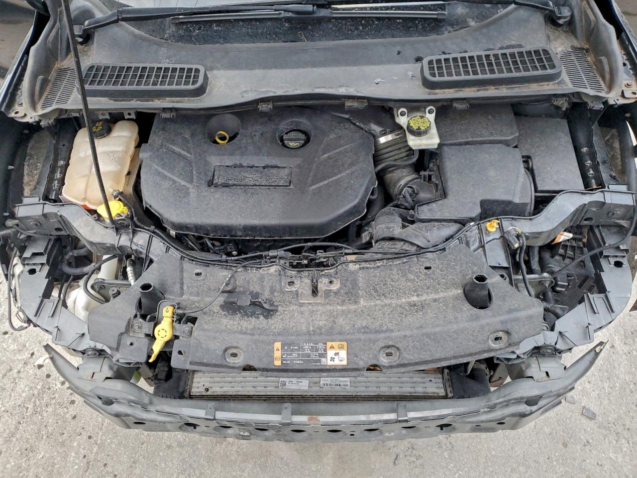 2014 FORD ESCAPE SE photo 12