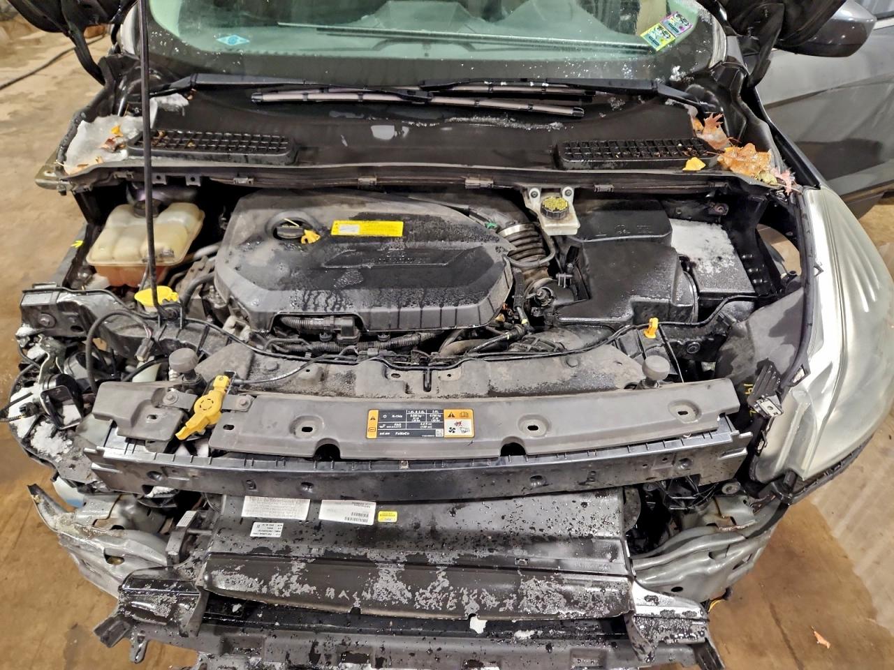 2016 FORD ESCAPE SE photo 12