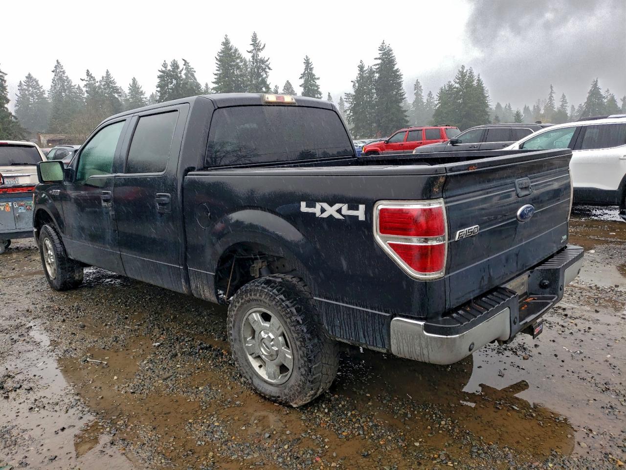 2010 FORD F150 SUPERCREW photo 2