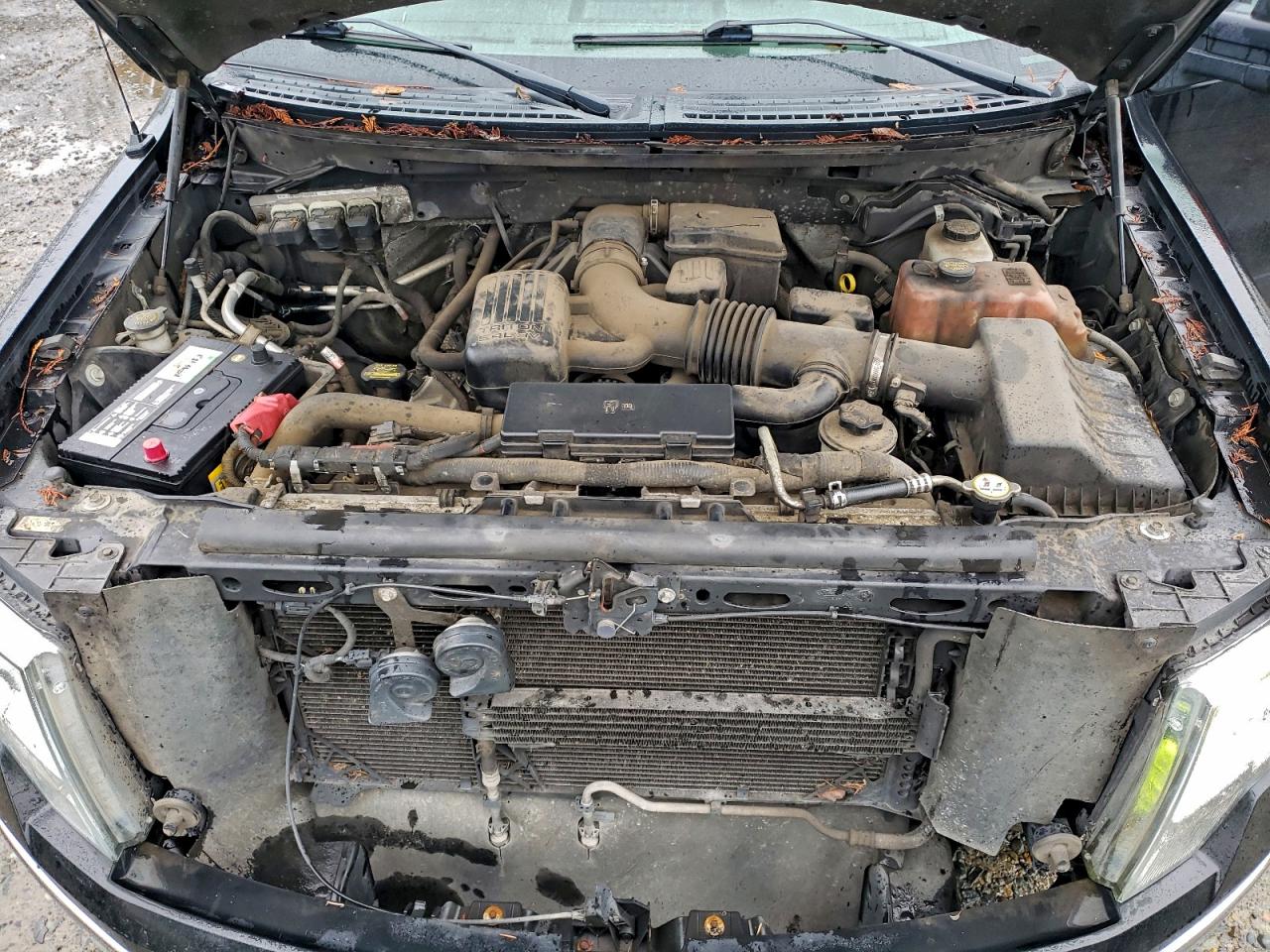 2010 FORD F150 SUPERCREW photo 11