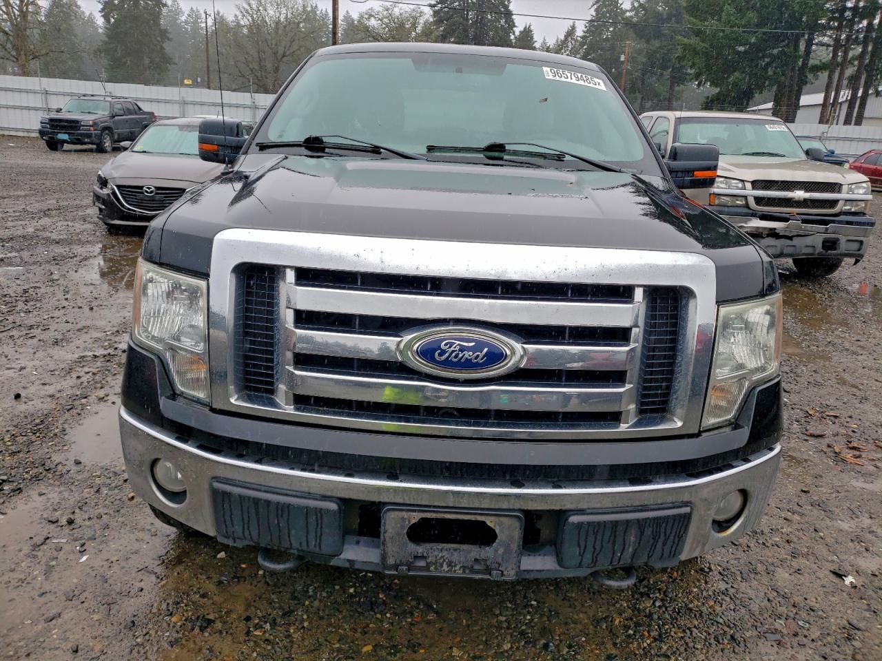 2010 FORD F150 SUPERCREW photo 5