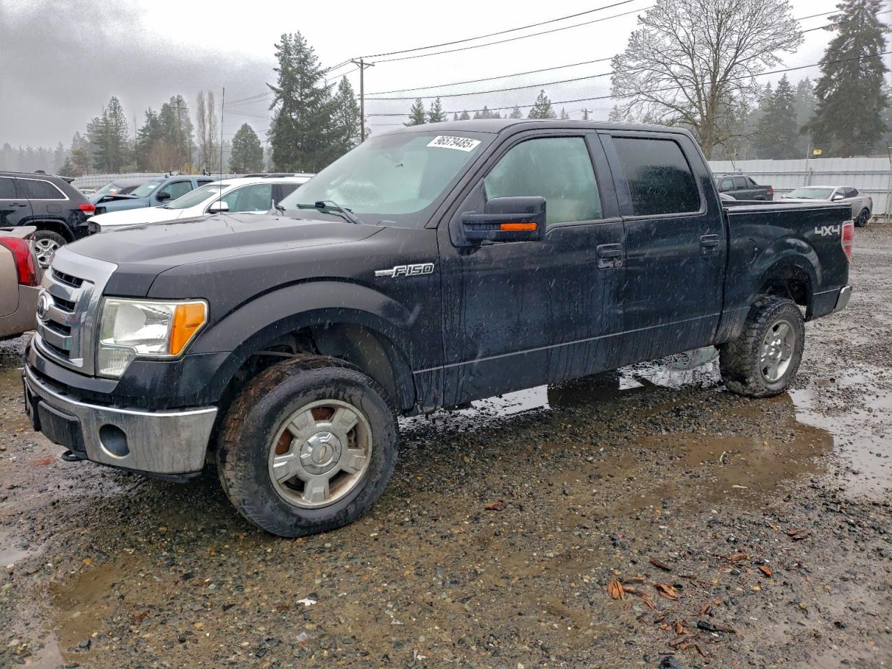 2010 FORD F150