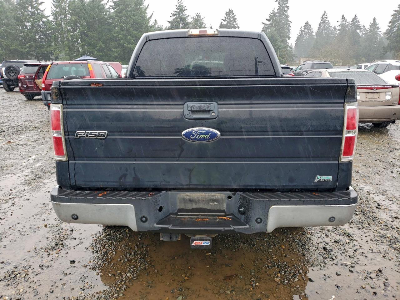 2010 FORD F150 SUPERCREW photo 6