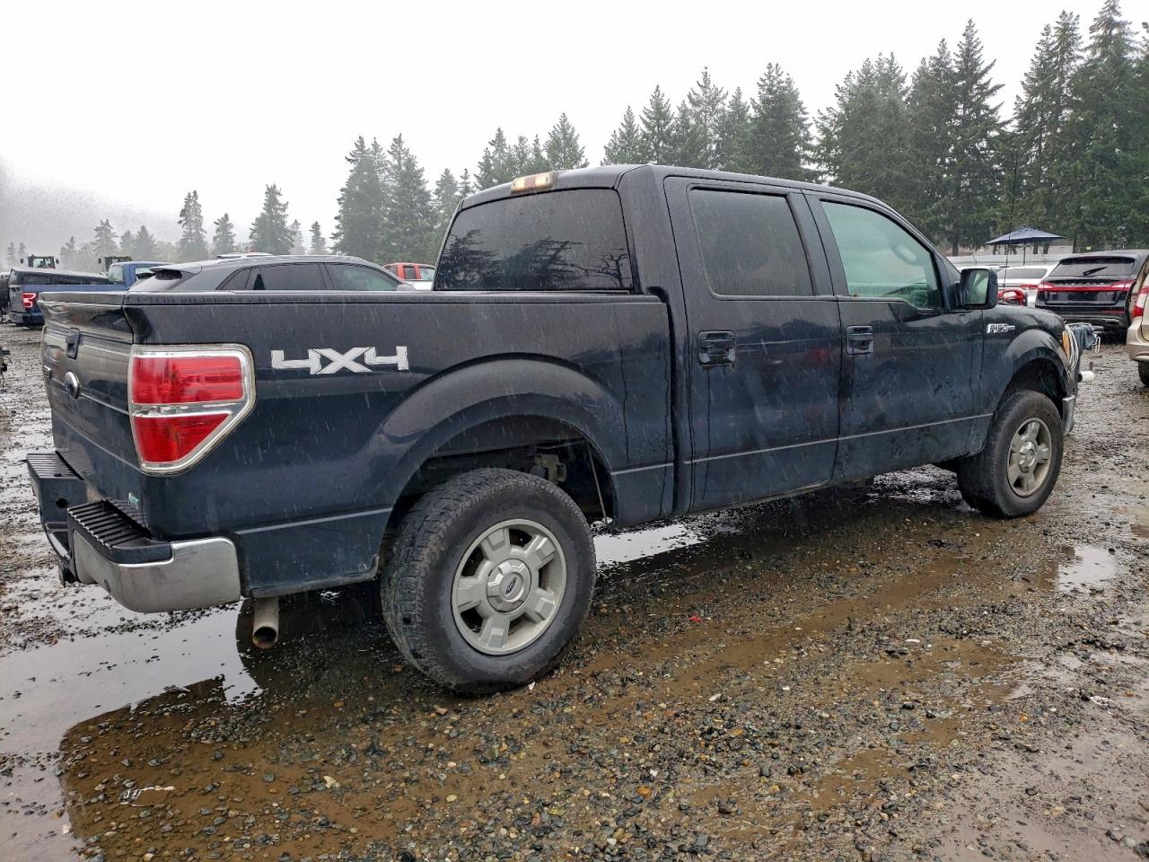 2010 FORD F150 SUPERCREW photo 3
