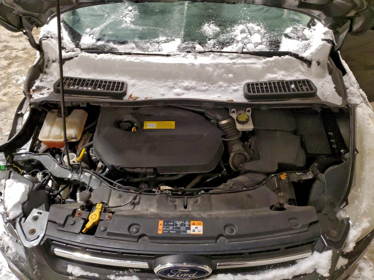 2016 FORD ESCAPE SE photo 11