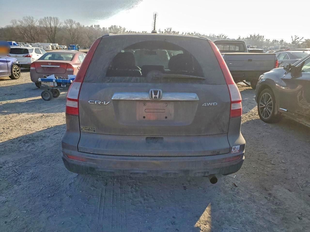 2010 HONDA CR-V EXL photo 6