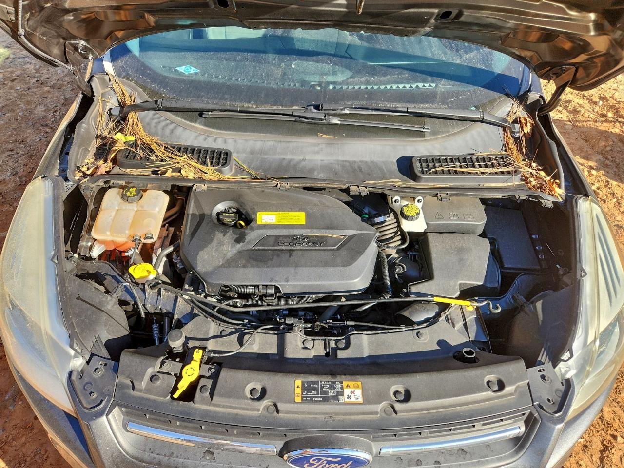2016 FORD ESCAPE SE photo 31