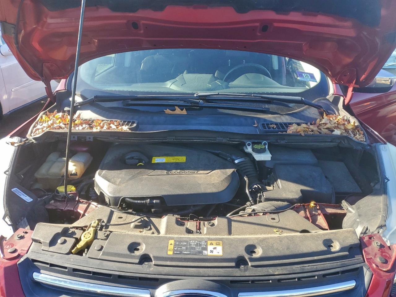2015 FORD ESCAPE SE photo 12