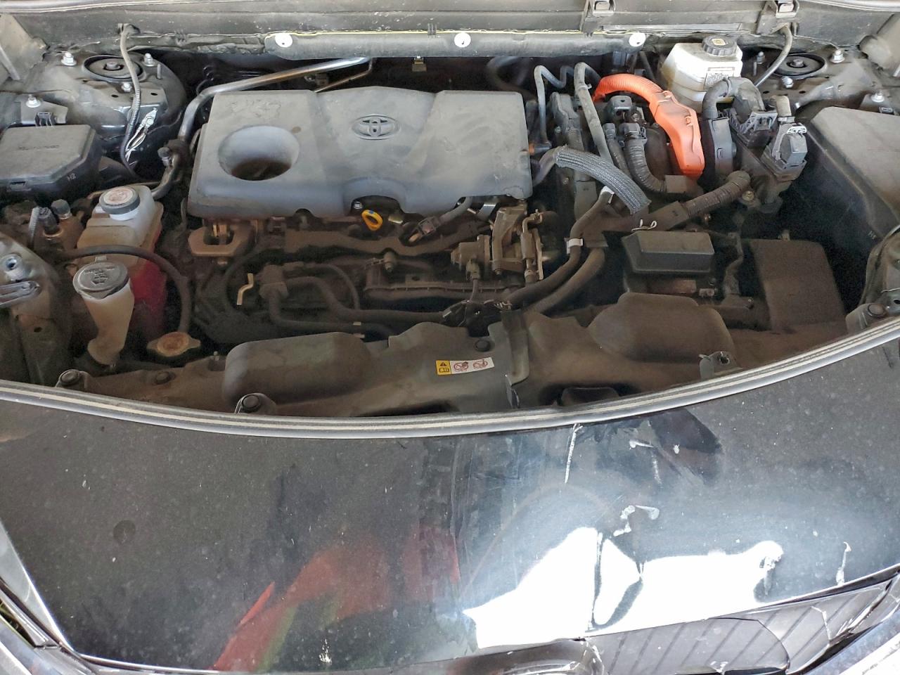 2021 TOYOTA VENZA LE photo 12