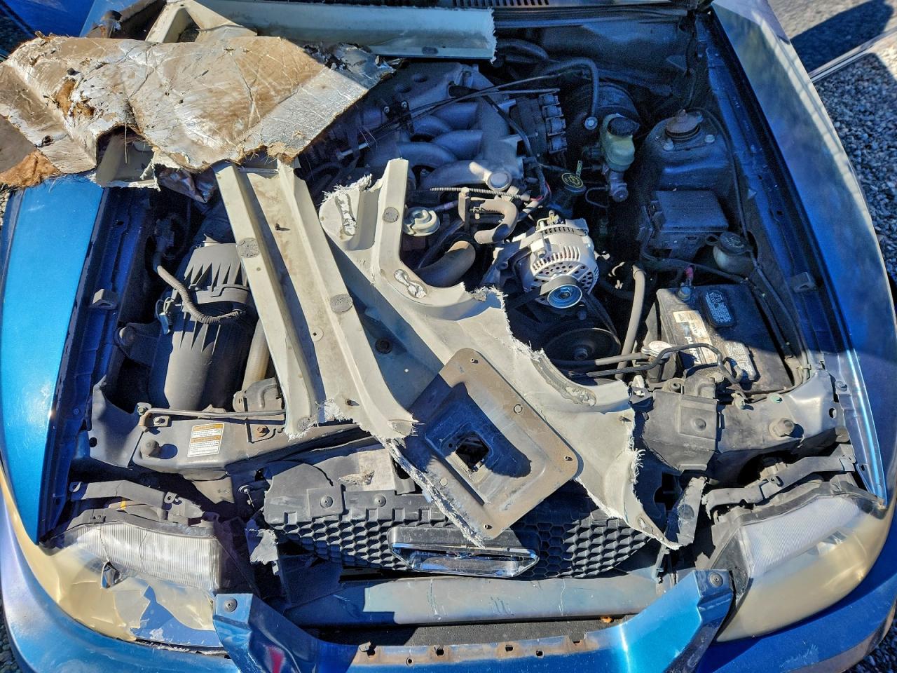 2000 FORD MUSTANG photo 11