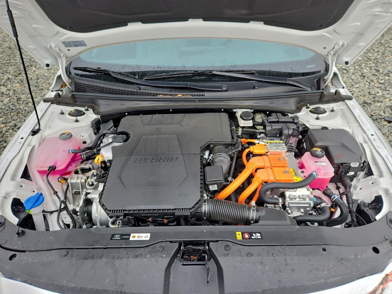 2025 HYUNDAI ELANTRA LIMITED photo 11